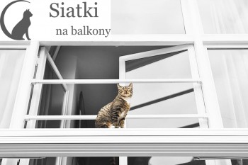 Siatka na balkon przeciw gołębiom